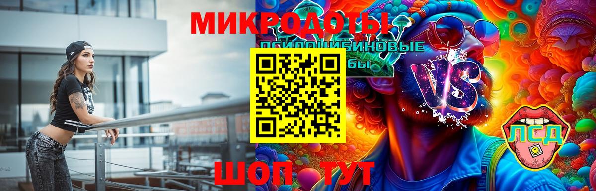 Псилоцибиновые грибы ЛСД Камышлов
