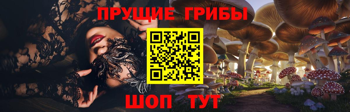 Камышлов  Галлюциногенные грибы мицелий  Вход с VPN 